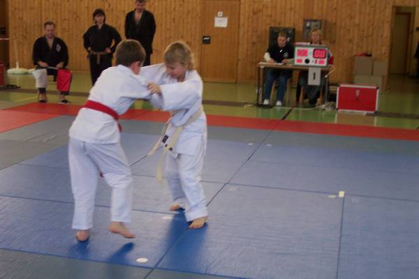 n_100_1990.jpg