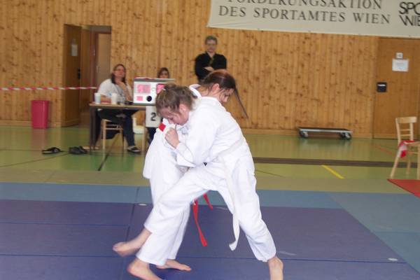 n_100_2010.jpg