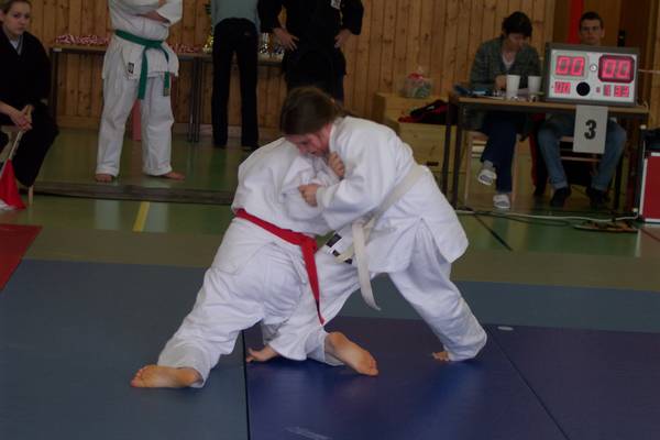 n_100_2013.jpg
